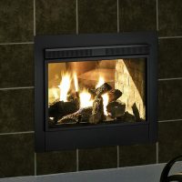 Twilight II Gas Indoor-Outdoor Fireplace