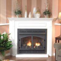 Empire Vail Vent Free Fireplaces