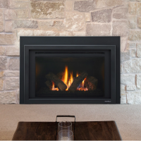Heat & Glo Provident Series Gas Fireplace Inserts