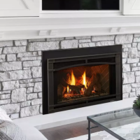 Heat & Glo Supreme Series Gas Fireplace Inserts
