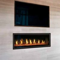 Napoleon Vector Linear Direct Vent Fireplace