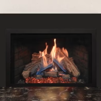 Kozy Heat Nordik 29i Gas Fireplace Insert